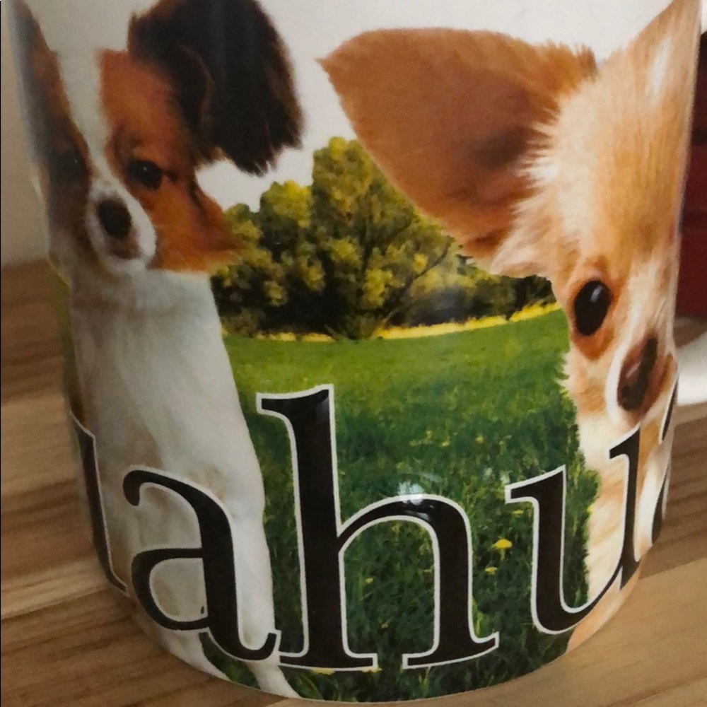 coffee mug dog chihuahua